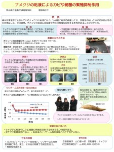 PowerPoint プレゼンテーション